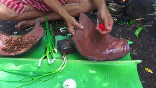 【荒野虫哥】真 蚂蚁上树