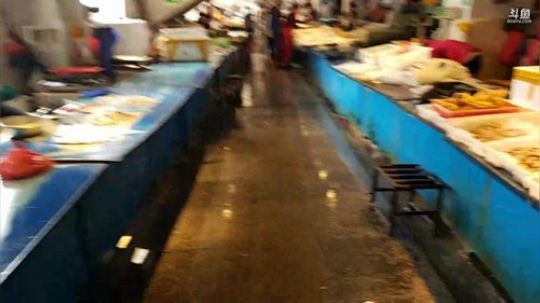 HHHISHHH发布了一个斗鱼视频2019-09-09