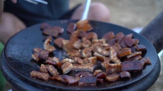 【中文字幕】韩国兴森一家人，蜂窝猪皮-