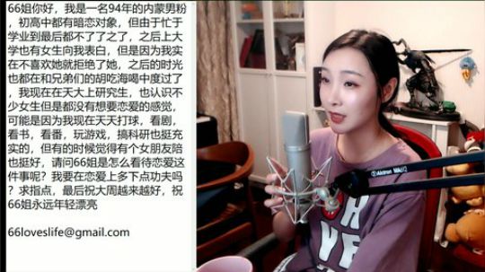 是一个存在感特别低的宠物