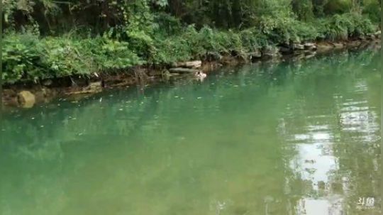 哆啦爱梦梦发布了一个斗鱼视频2019-09-09