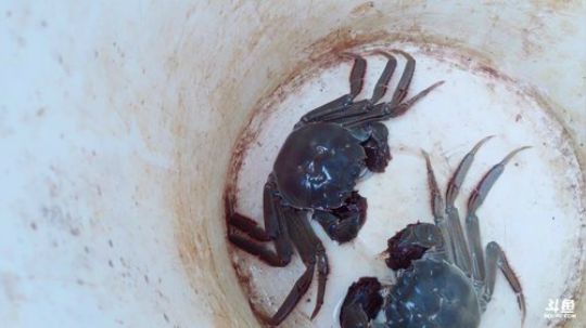 HHHISHHH发布了一个斗鱼视频2019-09-09