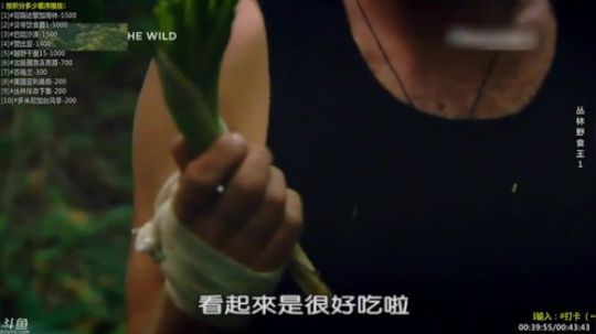 户外遛狗王飞哥发布了一个斗鱼视频2019-09-10