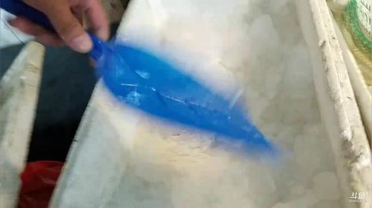 我在斗鱼看威海大叔直播美食