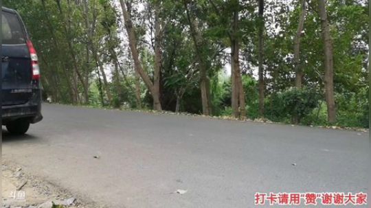 科头溜子发布了一个斗鱼视频2019-09-10