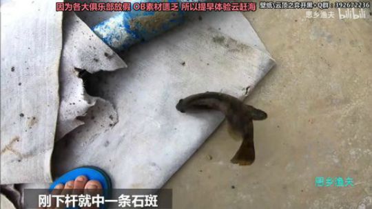胖胖OB：直播 Faker\RNG\IG 2019-09-10 03点场