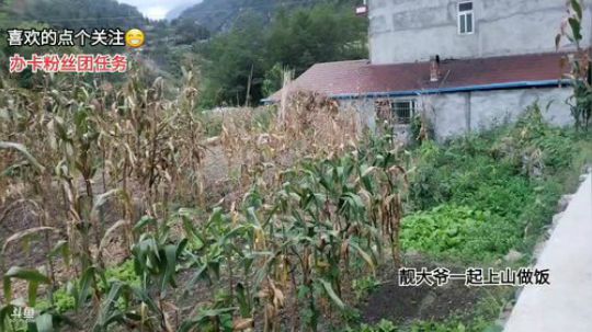 与靓大爷夫妻俩的一天 2019-09-10 18点场