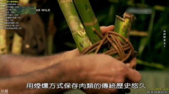 护法惊丶发布了一个斗鱼视频2019-09-10