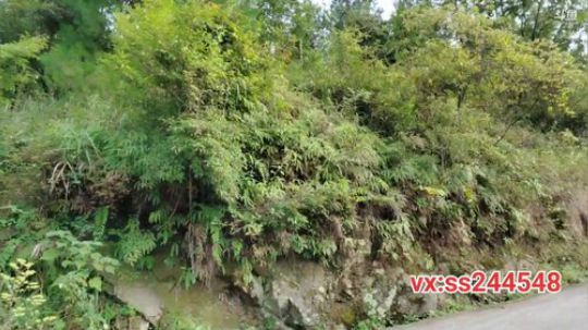 叶太子，达州途搭到万州 2019-09-10 18点场