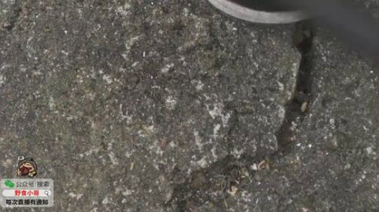 哆啦爱梦梦发布了一个斗鱼视频2019-09-11