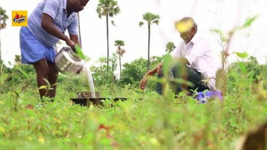 【印度五爷美食食谱】--山羊羊肚肉汁-