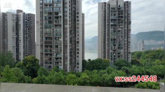 叶太子，2点30分开播 2019-09-11 14点场