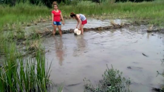 越南柬埔寨小姐姐捕鱼系列
