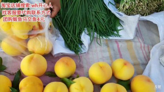 龙马精神丶老狼哥发布了一个斗鱼视频2019-09-12