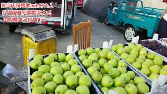 龙马精神丶老狼哥发布了一个斗鱼视频2019-09-12