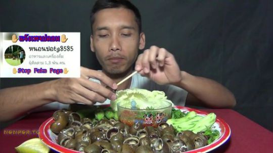 吃田螺！就要吃新鲜的