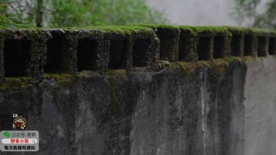 哆啦爱梦梦发布了一个斗鱼视频2019-09-13