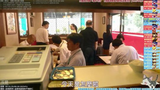 我在斗鱼看懒猫是只喵直播一起看