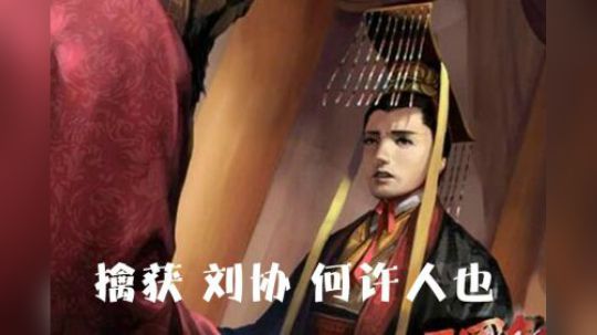 全战三国 俘获刘协 何许人也
