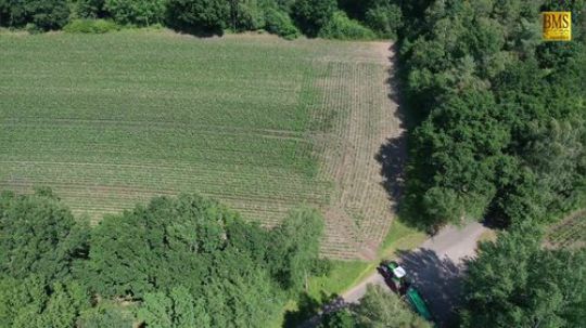 现代化农业——给玉米施肥