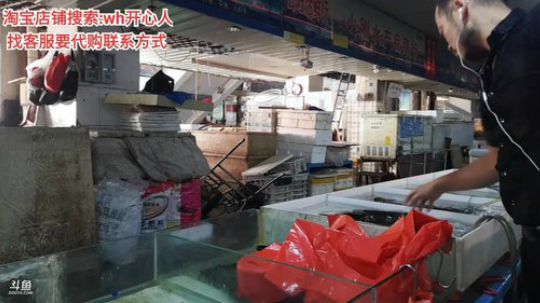 龙马精神丶老狼哥发布了一个斗鱼视频2019-09-14