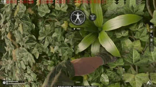 【管子】丛林地狱·另类高能搞笑主播 2019-09-13 19点场