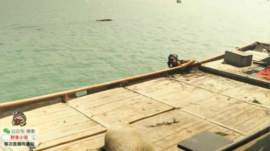 我在斗鱼看野食小哥直播美食