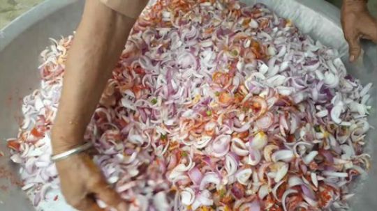 印度老奶奶-油炸调味洋葱