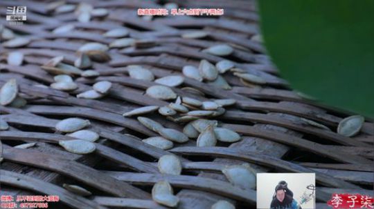 我在斗鱼看你的大湿胸丶直播英雄联盟