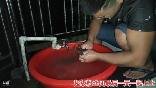 科头溜子发布了一个斗鱼视频2019-09-15