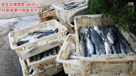 西北老狼哥哥发布了一个斗鱼视频2019-09-16