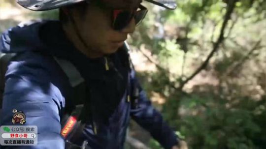 哆啦爱梦梦发布了一个斗鱼视频2019-09-17