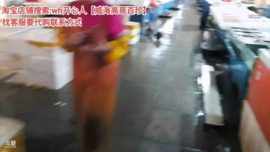 西北老狼哥哥发布了一个斗鱼视频2019-09-17