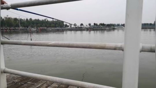 科头溜子发布了一个斗鱼视频2019-09-17