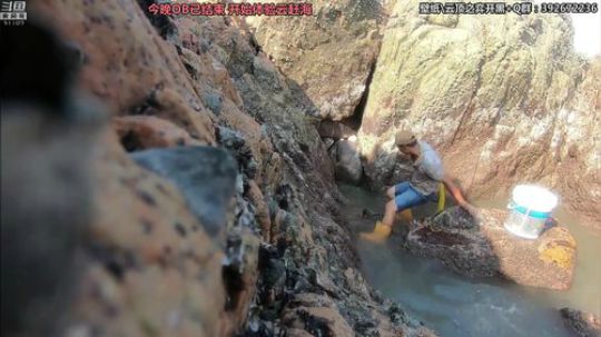 liyunanhj发布了一个斗鱼视频2019-09-17