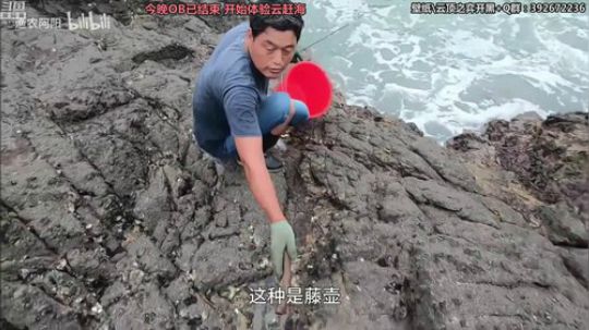 liyunanhj发布了一个斗鱼视频2019-09-17