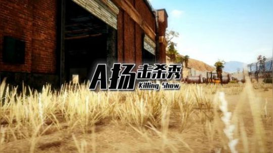 【A扬击杀秀】（7）一梭子弹带走3个人