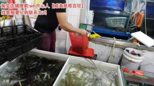 西北老狼哥哥发布了一个斗鱼视频2019-09-17