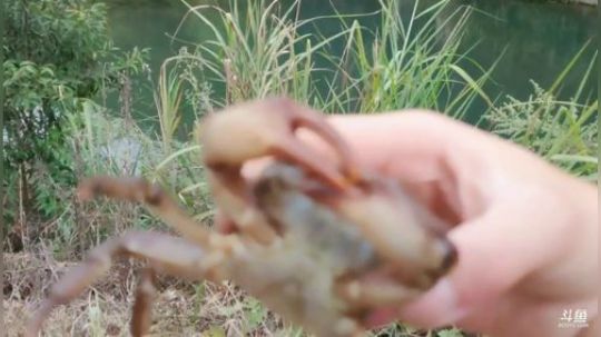 贵州苗族文化寻访之旅！ 2019-09-18 16点场