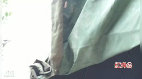 我在斗鱼看黑哥户外直播户外