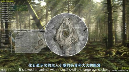 护法惊丶发布了一个斗鱼视频2019-09-18