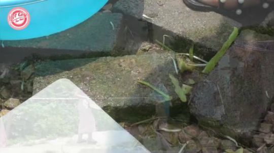 【野炊姐妹】 她们又回来了