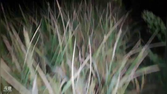 贵州苗族文化寻访之旅！ 2019-09-19 21点场