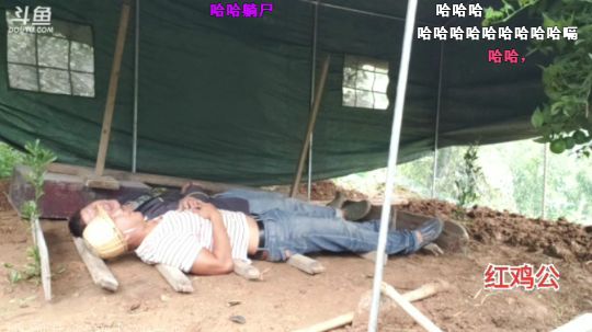 董事长枕头