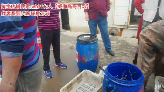 西北老狼哥哥发布了一个斗鱼视频2019-09-19