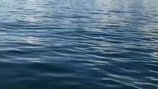 哦呦03498发布了一个斗鱼视频2019-09-19