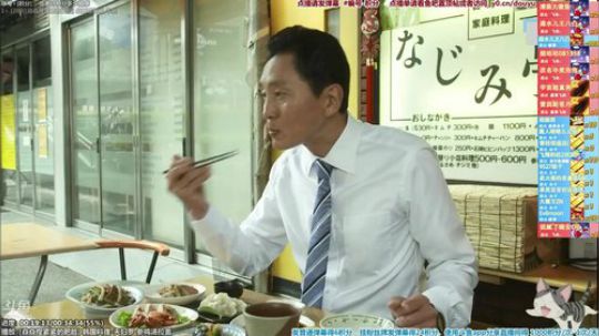 我在斗鱼看懒猫是只喵直播一起看
