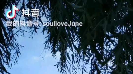 木木乱闯发布了一个斗鱼视频2019-09-20