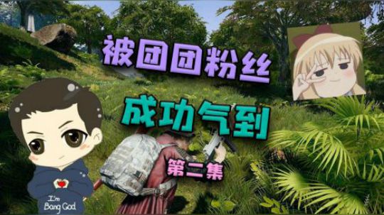又被团团粉丝欺负，怎么我老被团团粉丝欺负