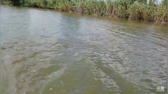 哆啦爱梦梦发布了一个斗鱼视频2019-09-20